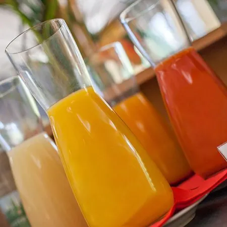 Ringhotel فندق أرينسبورغ