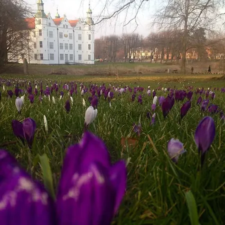 Ringhotel 3*