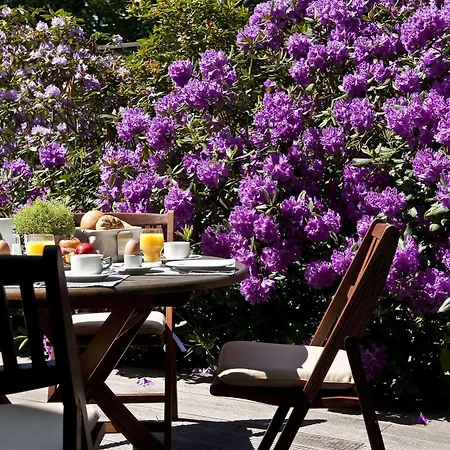 Hotel Ringhotel 3*